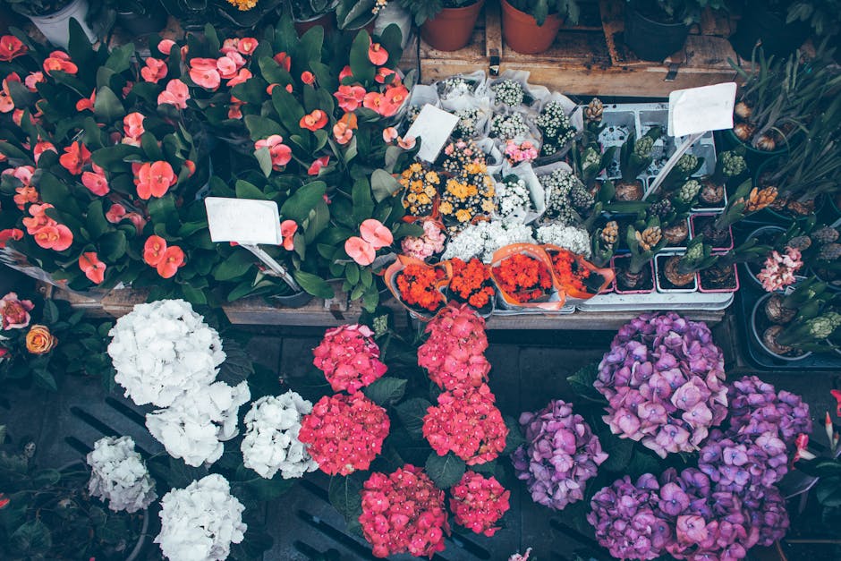 A vibrant display of fresh flowering plants and floral arrangements at Hackney Marshes Florist, including potted pink, white, and purple hydrangeas, bright orange and yellow chrysanthemums, and variou