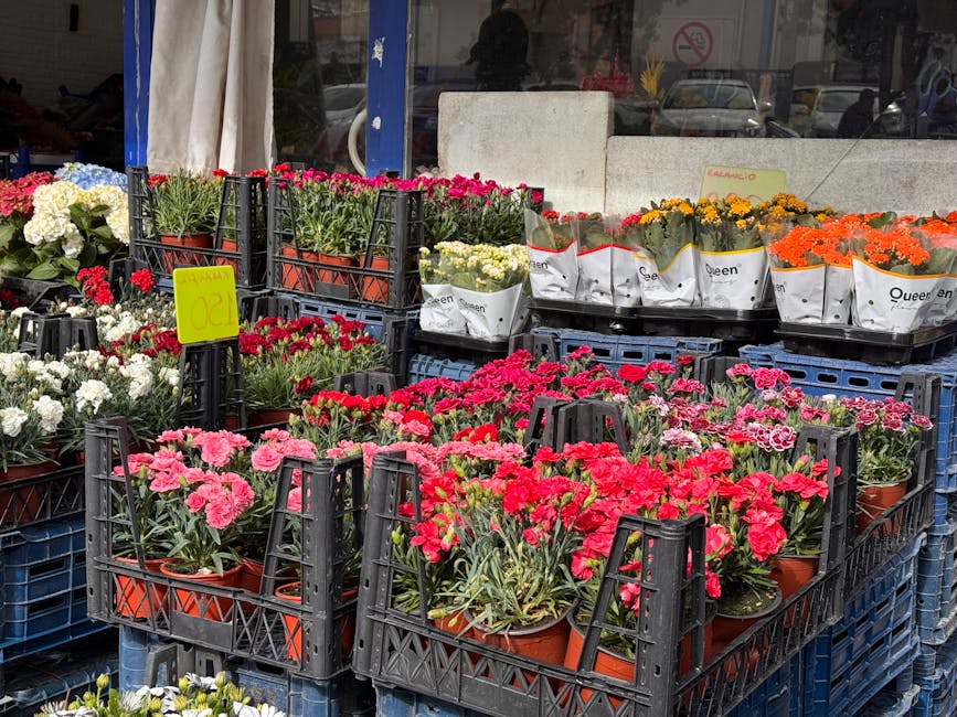 A variety of fresh flowering plants displayed outdoors on black plastic crates, featuring pink, red, white, yellow, and orange blossoms, primarily carnations and daffodils, arranged in terracotta pots